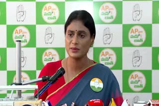 APCC_Chief_YS_Sharmila_Comments_on_Avinash_and_Bharathi