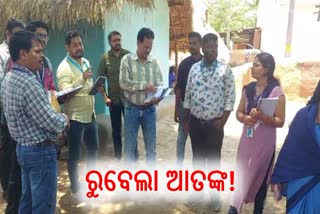 Rubella Case Detected In Nabarangpur