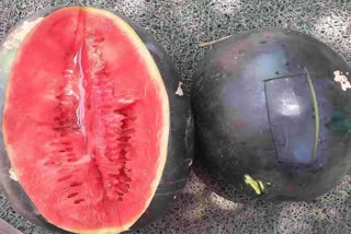 തണ്ണിമത്തനില്‍ രാസവസ്‌തുക്കള്‍  TEST POISONOUS WATERMELON  PREETI SHUKLA ABOUT WATERMELON  SUMMER FRUITS