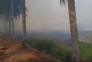 വൈക്കത്തെ വയലിൽ തീപിടിത്തം  നാറാണത്ത് പാടത്ത് തീപിടിത്തം  FIRE AT VAIKOM  FIRE AT FIELD