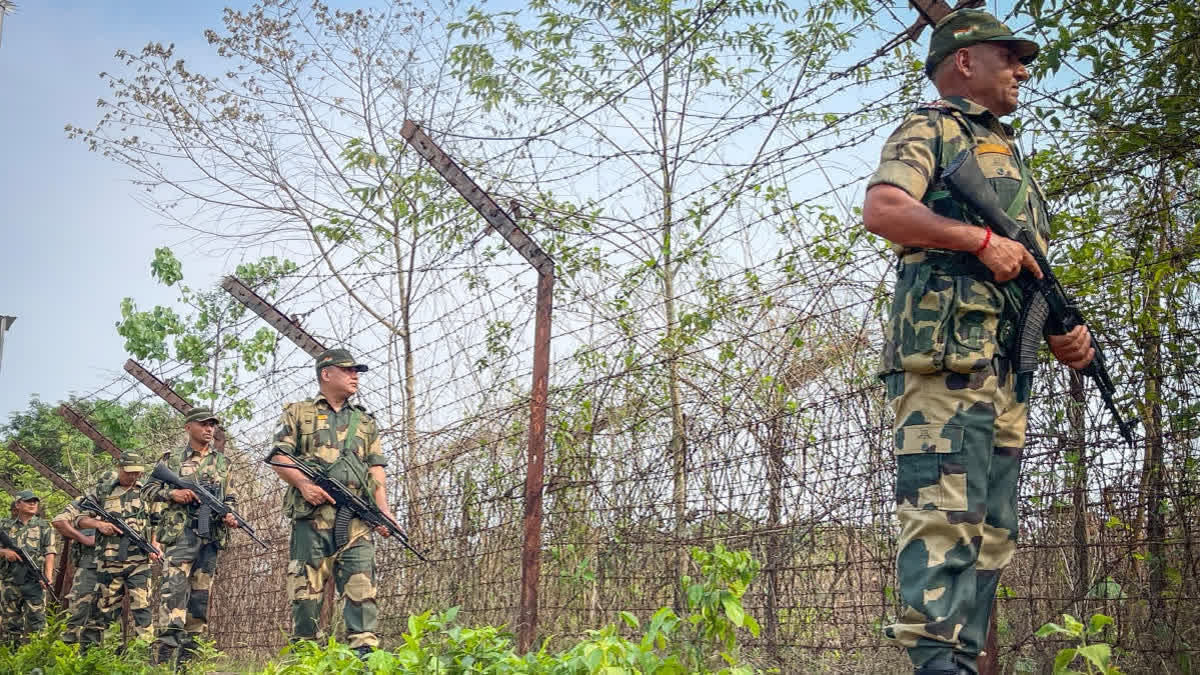 Pakistani Intruder Shot Dead By BSF Along India-Pakistan Border In Punjab
