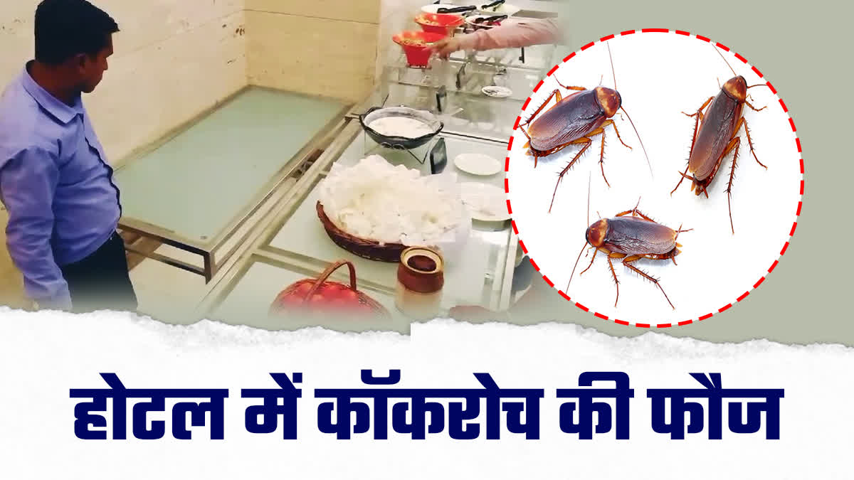 COCKROACHES FOUND IN HOTEL INDORE