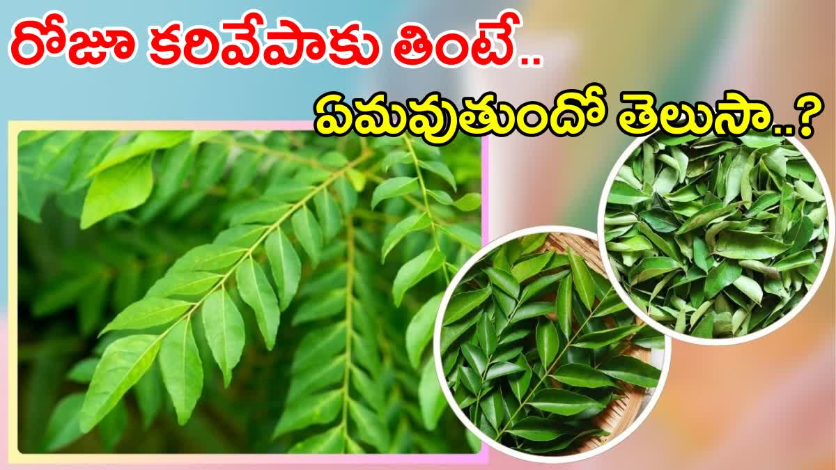 Curry Leaves