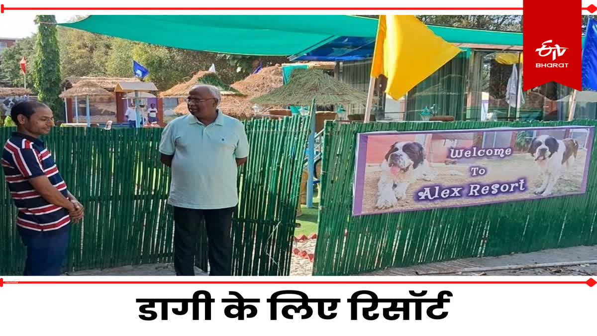 RESORT FOR DOG IN MEERUT