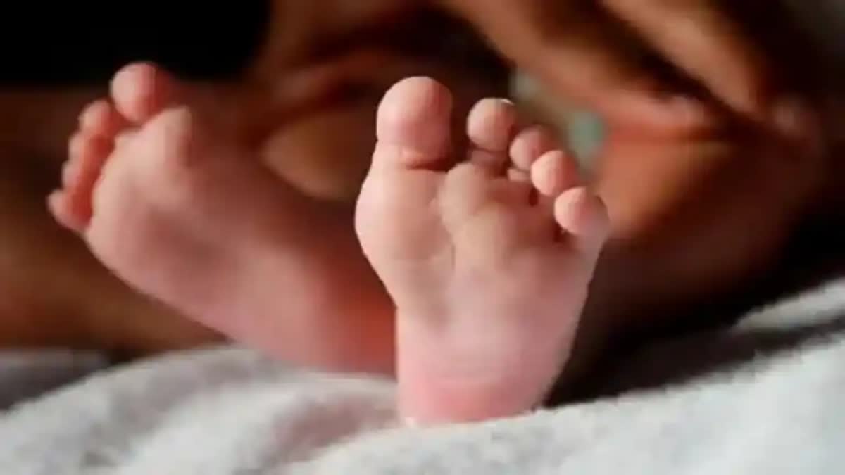 DROWN DEATH  BABY DIED AFTER FALLING TO A DITCH  ഒന്നരവയസുകാരൻ തോട്ടിൽ വീണ് മരിച്ചു  BABY DIED BY DROWNING