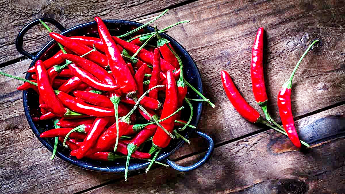 CHILI BENEFITS AND CHILI SIDE EFFECTS EATING PRECAUTIONS FOR CHILI