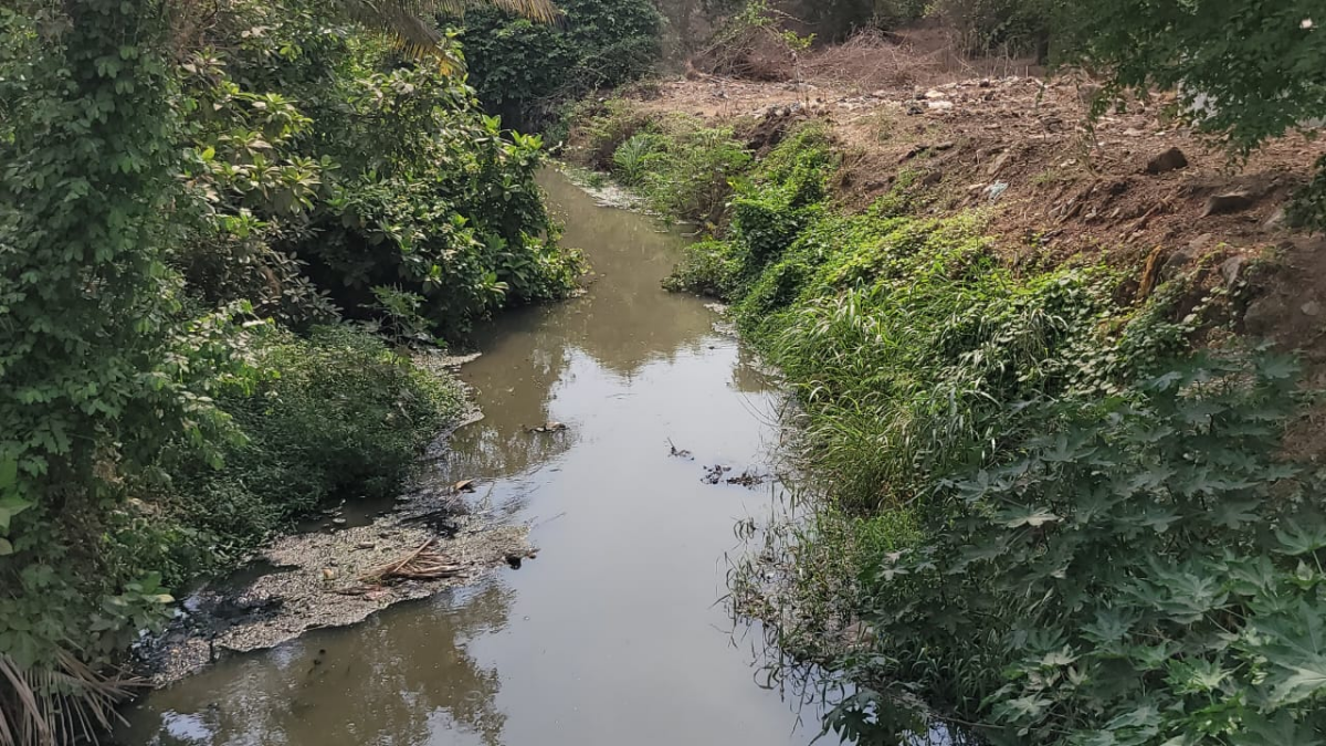 ગટરની સાફ સફાઈ