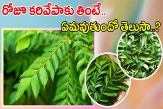 Curry Leaves