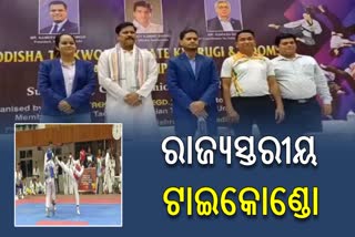 State Level Taekwondo Championship