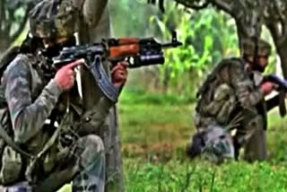 CHHATTISGARH NAXALITES ENCOUNTER  ഛത്തീസ്‌ഗഡിൽ നക്‌സലൈറ്റ് ഏറ്റുമുട്ടൽ  നക്‌സലൈറ്റുകളെ വധിച്ചു  NAXALITES KILLED IN ENCOUNTER AT CHHATTISGARH