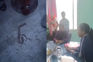 Family created ruckus over death of child due to snakebite in Koderma