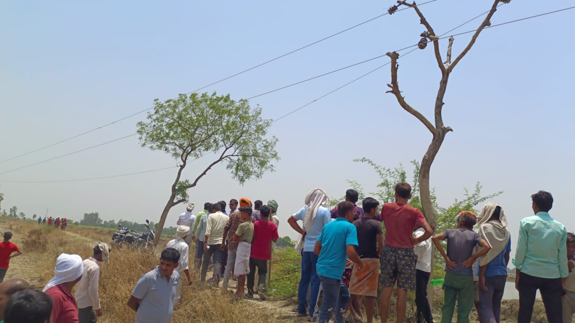 insulators tied to trees in lakhimpur kheri in up photo viral.