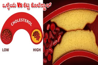 BAD CHOLESTEROL  GOOD CHOLESTEROL  ಒಳ್ಳೆಯದು VS ಕೆಟ್ಟ ಕೊಲೆಸ್ಟ್ರಾಲ್  CHOLESTEROL