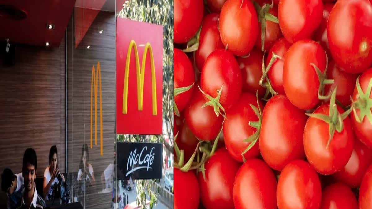 no tomato use in mcdonald