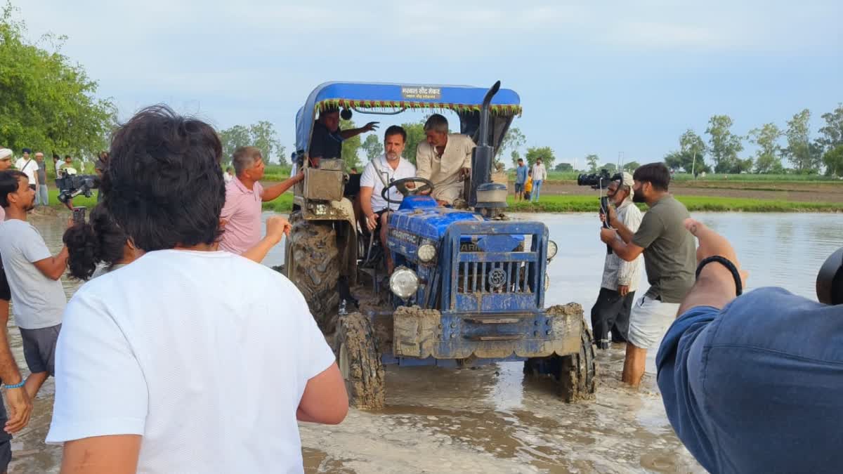 rahul gandhi in sonipat