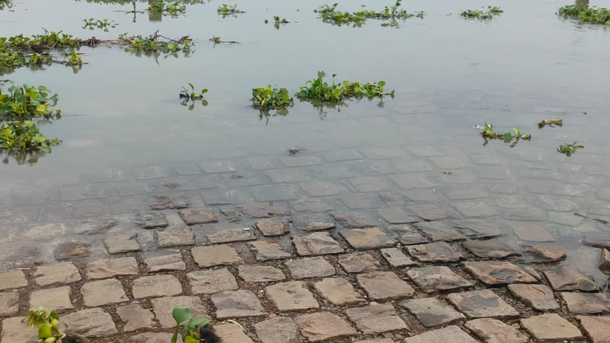 chambal river water level increased, direct road from Kota to Sawai Madhopur closed