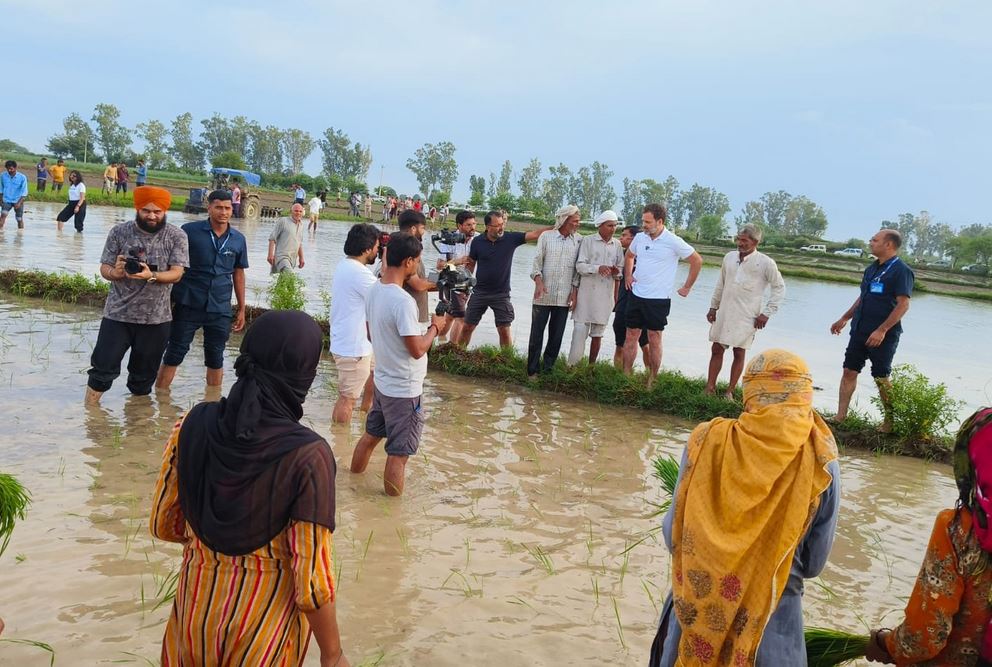 Rahul Gandhi sows seeds with farmers at fields