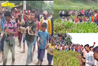 SNAKE FAIR ON NAGPANCHAMI