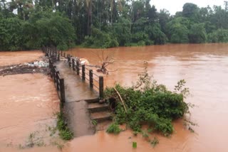 heavy rain kasarkod  heavy rain  kasargod rain  weather  kasargod weather  rain alert kasargod  കാസർകോട്  കാസർകോട് മഴ  കാസർകോട് മഴ കനക്കുന്നു  മഴ  കാസർകോട് മഴ മുന്നറിയിപ്പ്  മഴ മുന്നറിയിപ്പ്  മഴ കനക്കുന്ന ജില്ലകൾ  മഴ വാർത്തകൾ