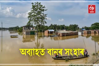 Assam Flood Report