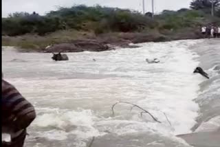 Kutchh News: ભુજમાં 2 ઇંચ વરસાદ સાથે મોટા બંધમાં નવા નીર આવતા સૌંદર્ય ખીલી ઉઠ્યું