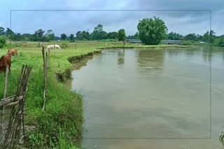 Erosion in Dhemaji