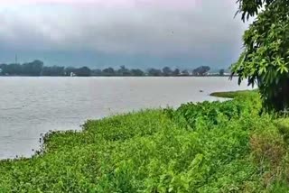 pond renovation in koraput