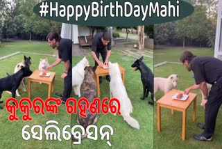 Dhoni Birthday Celebration with Dogs