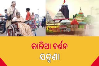 ଶ୍ରୀମନ୍ଦିରକୁ ଦିବ୍ୟାଙ୍ଗଙ୍କ ପ୍ରବେଶ ବ୍ୟବସ୍ଥା ପାଇଁ ଭକ୍ତଙ୍କ ଦାବି