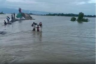 Assam Flood