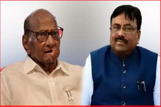 Sudhir Mungantiwar On Sharad Pawar