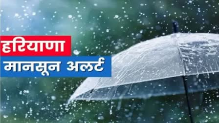 rain in haryana