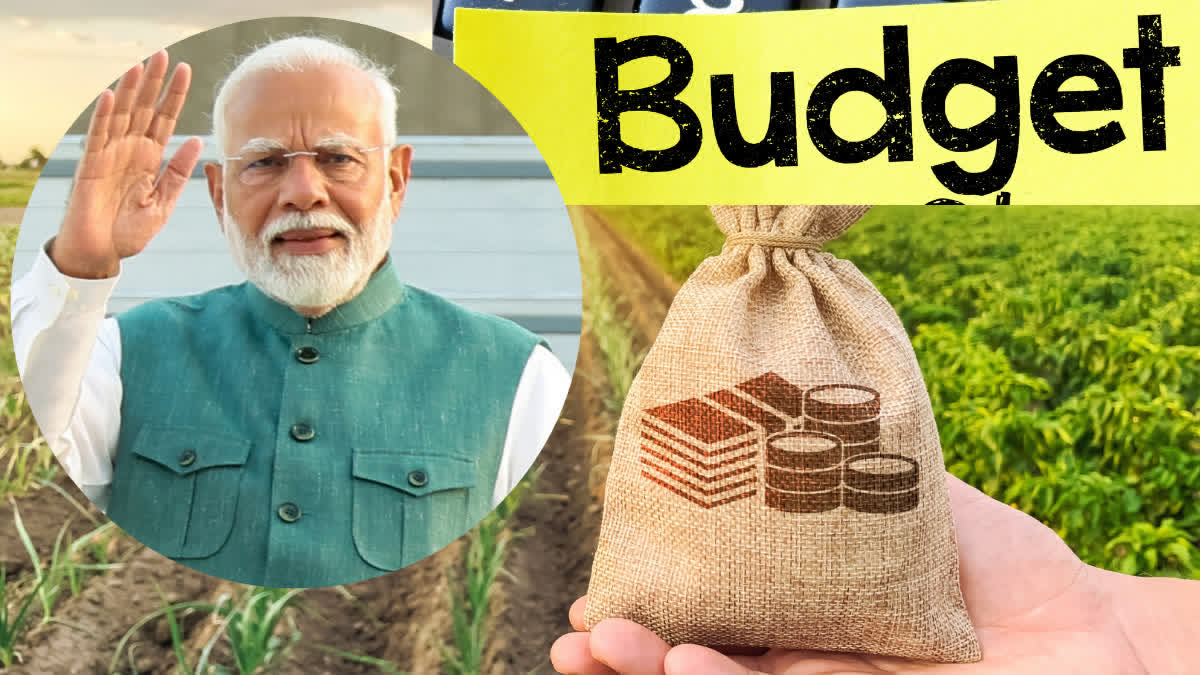 BJP government Budget