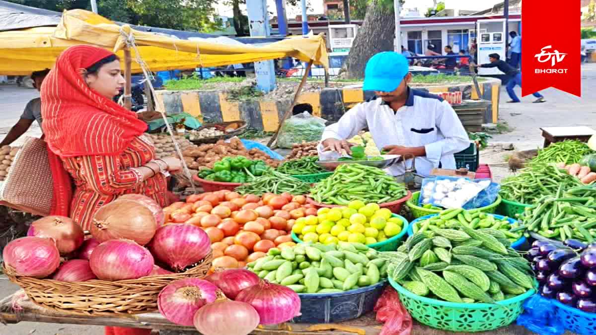 DONT USE LEAFY VEGETABLES CAULIFLOWER EGGPLANT ROOT VEGGIES IN RAINY SEASON