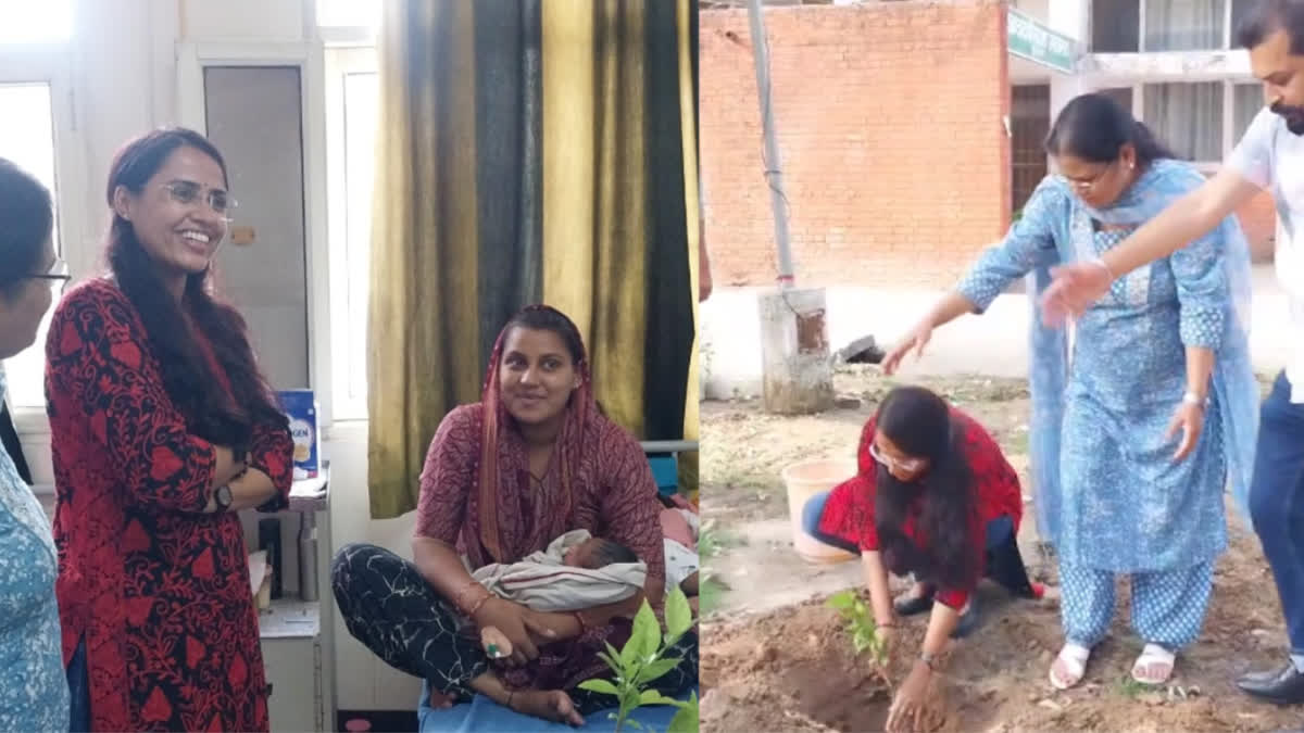 Deputy Commissioner Rupnagar distributed saplings to the parents to create a favorable environment for the new born children