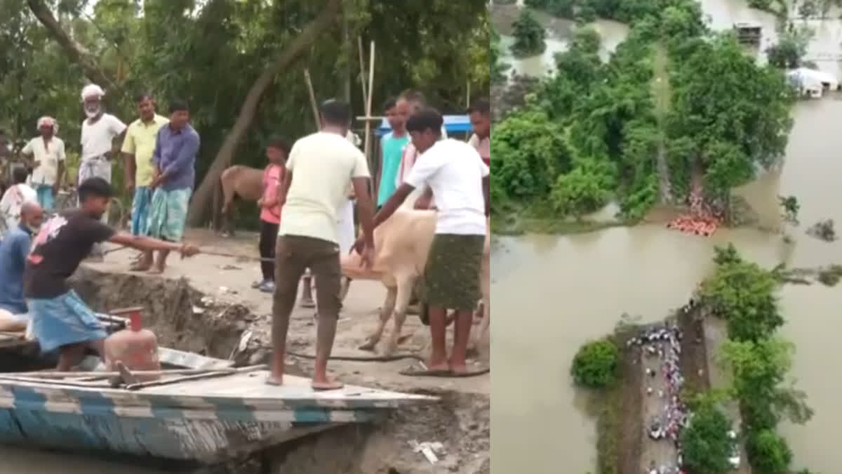 ASSAM FLOOD UPDATES