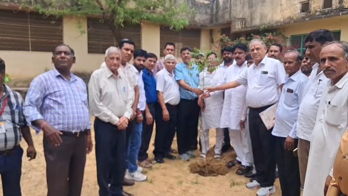 Minister Vijay Singh Chaudhary planted saplings