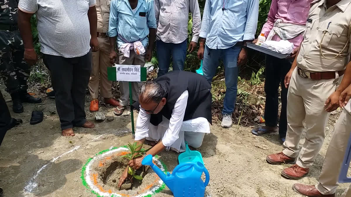 सांसद व पूर्व केंद्रीय मंत्री राधामोहन सिंह