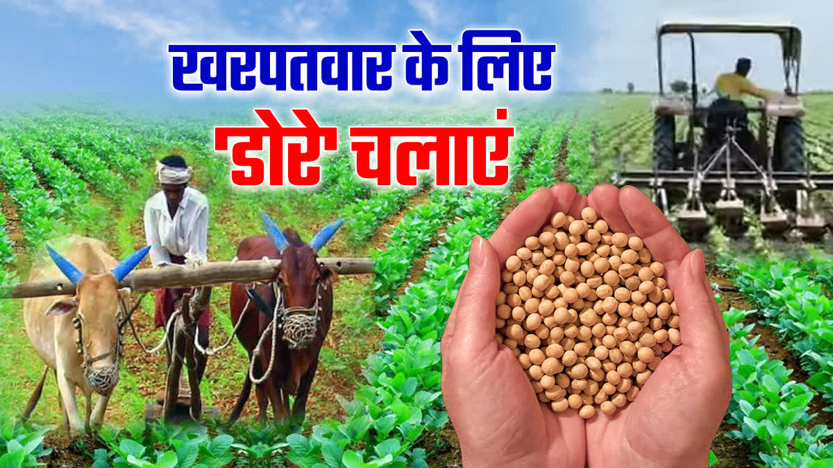 RATLAM WEED CONTROL IN SOYBEAN CROP