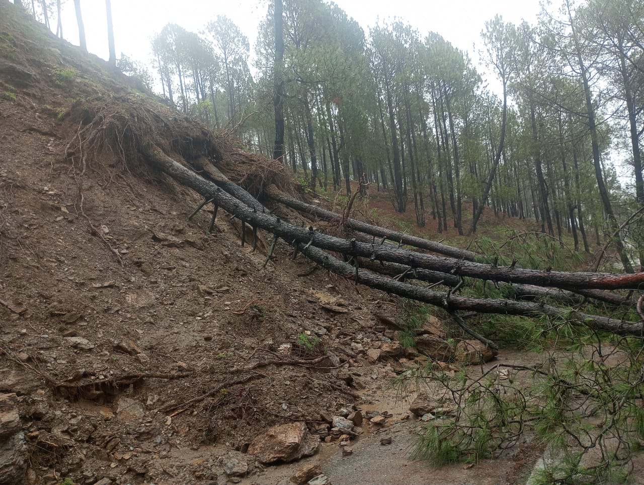 Debris came on the road due to rain in Almora