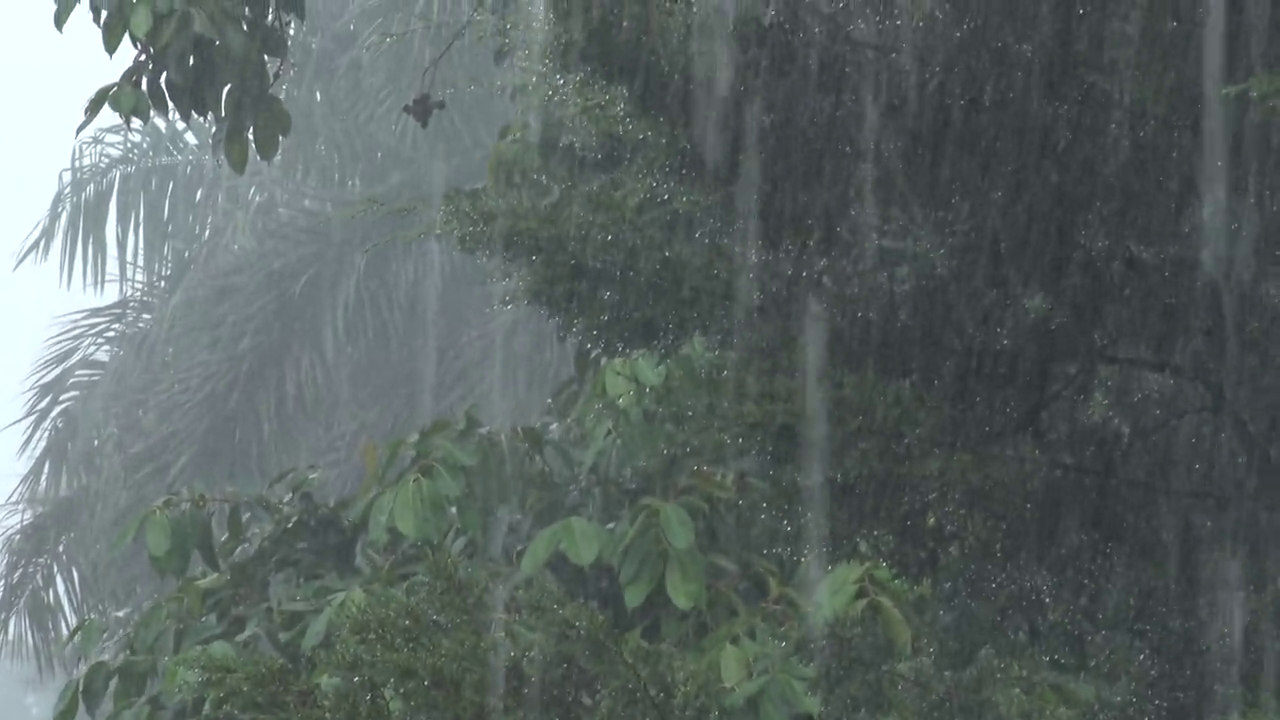 Rain in Dehradun