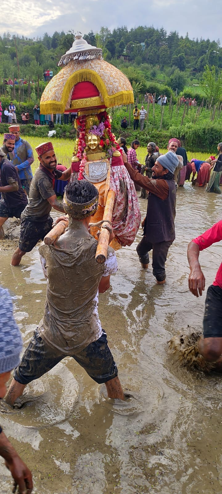 सैंज घाटी में देवी-देवता के साथ ग्रामीण करते हैं धान की रोपाई‍