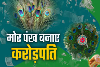 PEACOCK FEATHER VASTU TIPS