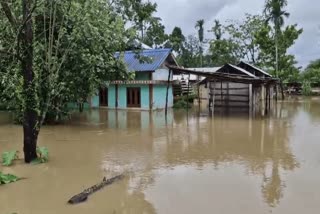 Assam: Eight More Lives Lost In Floods, Death Toll Rises To 66