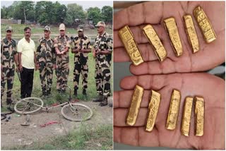 Gold Biscuits Recovered