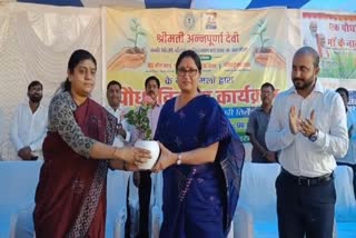 Plant Distribution In Koderma