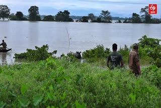 FLOOD IN KAZIRANGA