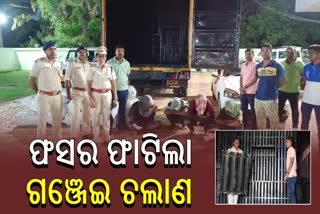 Ganja Seized in Berhampur