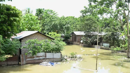 floods have taken a heavy toll in Kaziranga National Park this year