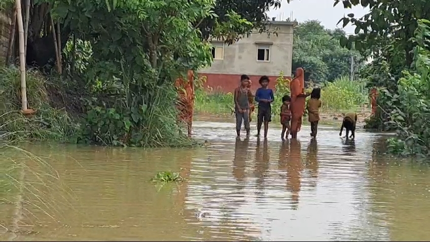 सहरसा के नवहट्टा प्रखंड की पंचायत में घुसा कोसी नदी का पानी